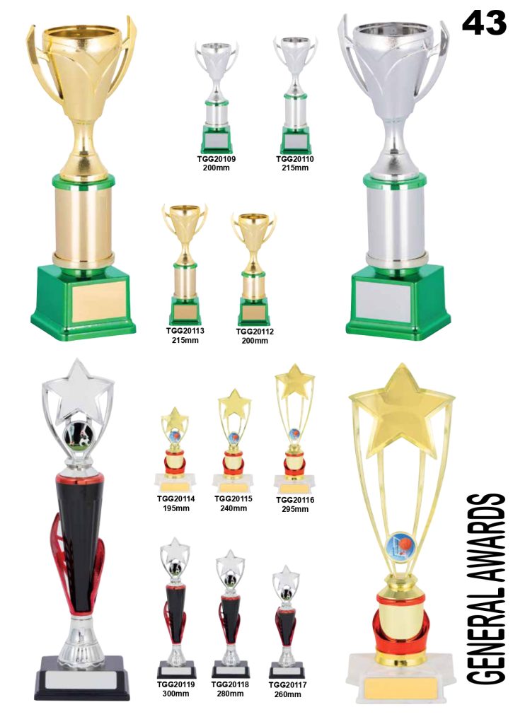 TROPHIES-GALORE-TROPHIES-AWARDS-2022_pages-to-jpg-0043